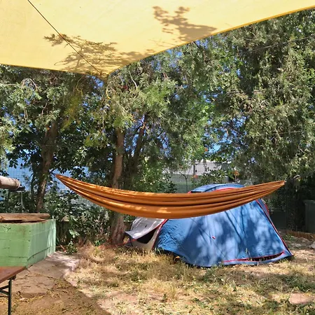 Κάμπινγκ Curtea Pescarusului Vama Veche