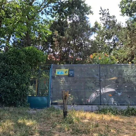 Κάμπινγκ Curtea Pescarusului