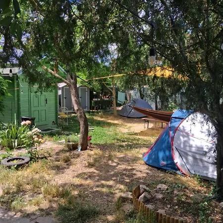 Curtea Pescarusului *