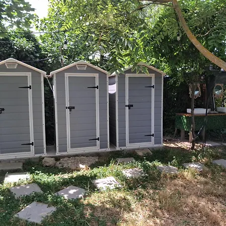 Κάμπινγκ Curtea Pescarusului