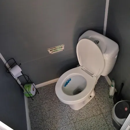 Curtea Pescarusului Κάμπινγκ *