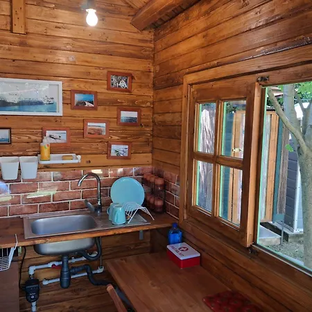 Κάμπινγκ Curtea Pescarusului *