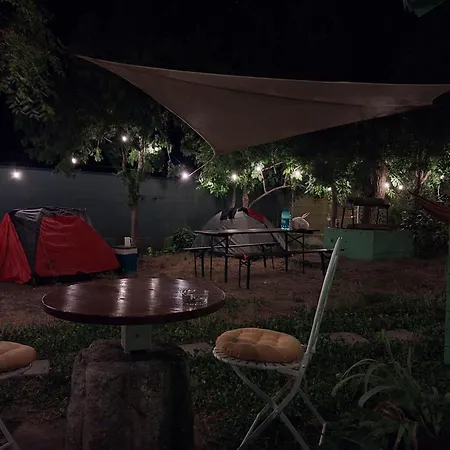 Κάμπινγκ Curtea Pescarusului