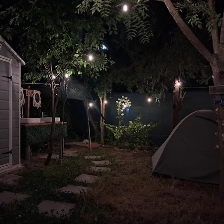 Curtea Pescarusului Κάμπινγκ