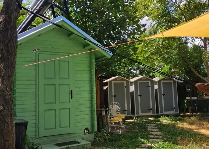 Curtea Pescarusului * Vama Veche