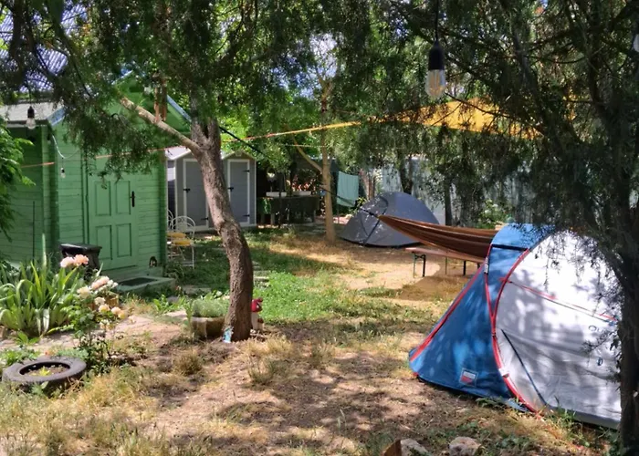 Curtea Pescarusului *