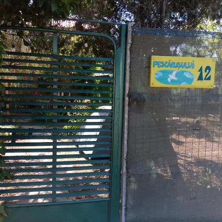 Campsite Curtea Pescarusului Vama Veche