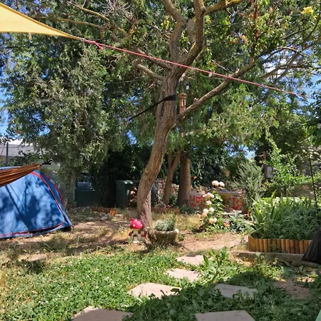 Curtea Pescarusului *