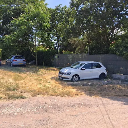 Curtea Pescarusului Campingplatz Vama Veche