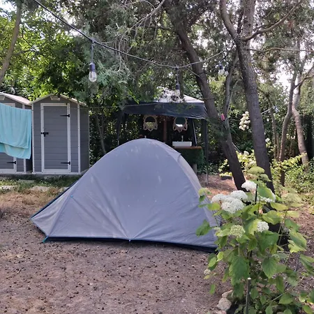 Curtea Pescarusului *