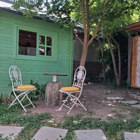 Curtea Pescarusului *