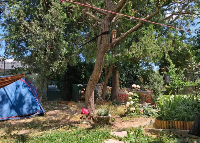 Curtea Pescarusului *