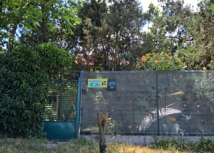 Camping Curtea Pescarusului