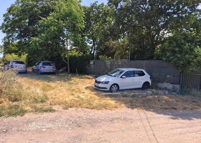 Curtea Pescarusului Camping Vama Veche