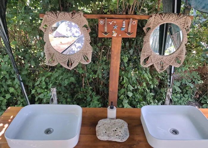 Curtea Pescarusului Camping