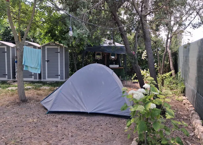 Curtea Pescarusului *