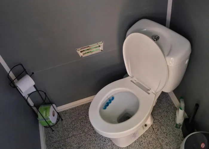 Curtea Pescarusului Camping *