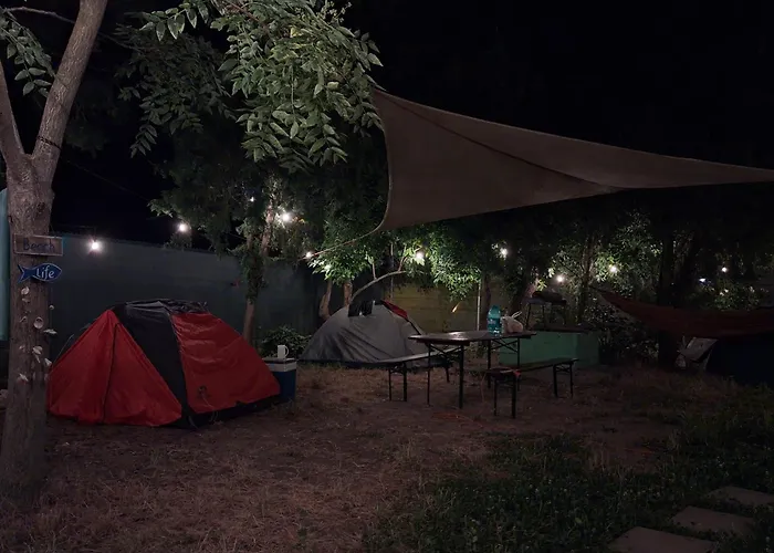 Curtea Pescarusului Vama Veche