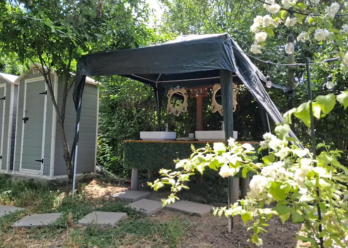 Curtea Pescarusului *