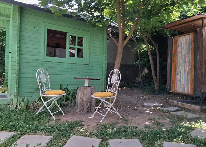 Curtea Pescarusului *